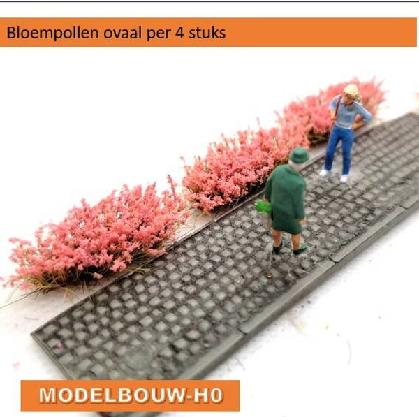 Bloempollen ovaal roze 4 stuks