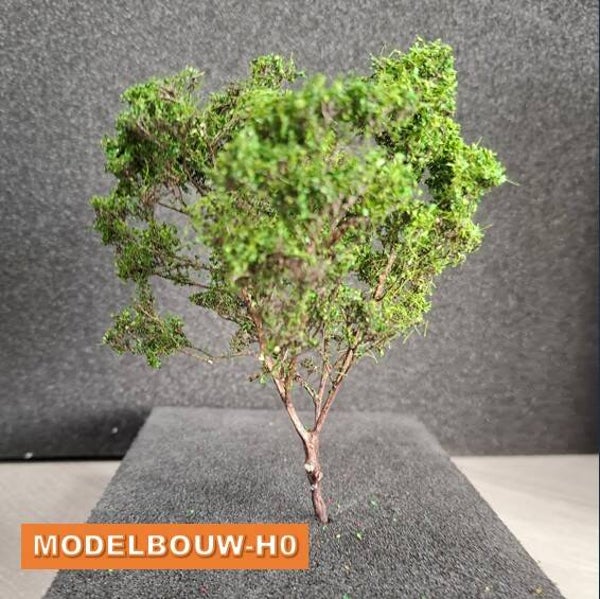 Loofboom groen 14cm hoog