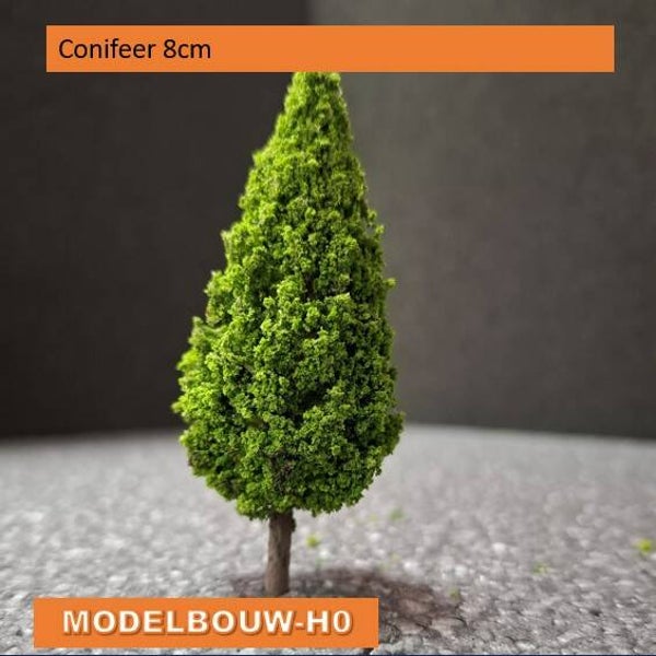 Conifeer 8 cm met vol blader dek en gebruinde stam