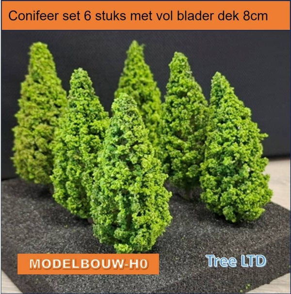Conifeer set 6 stuks met vol blader dek 8cm