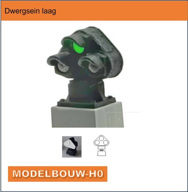 Dwergsein NS  H0  gebouw geleverd