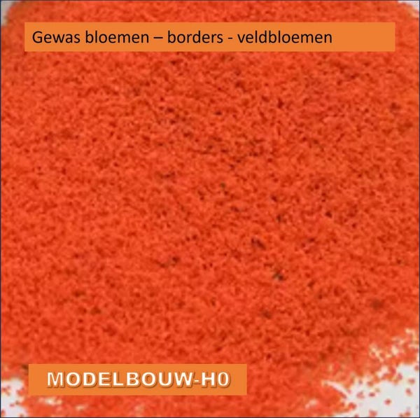 Bloemen - oranje borders - veldbloemen