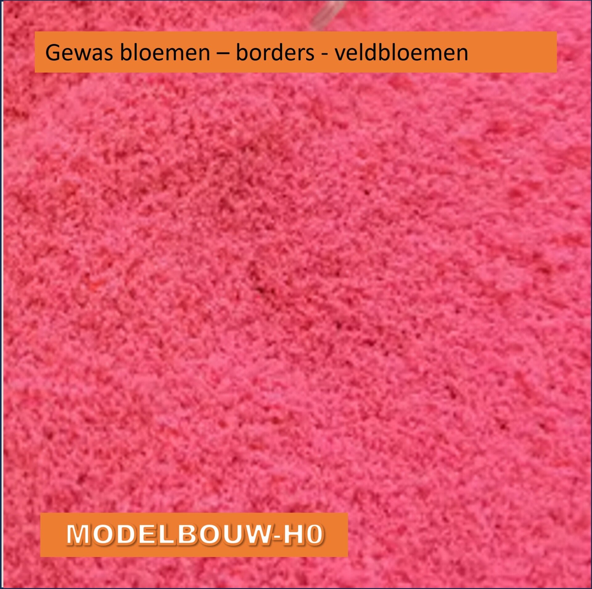 Bloemen - rose borders - veldbloemen