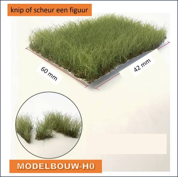 grasveldje zomergras  4 x 5 cm