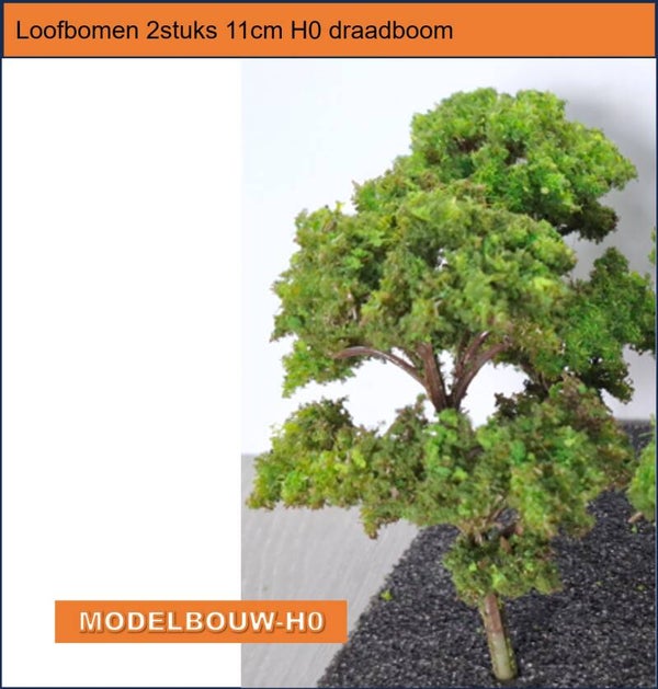 loofbomen 2 stuks steekstam 11 cm hoog