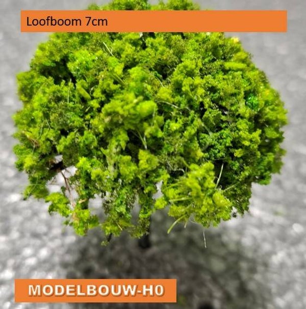 loofboom 7cm steekstam
