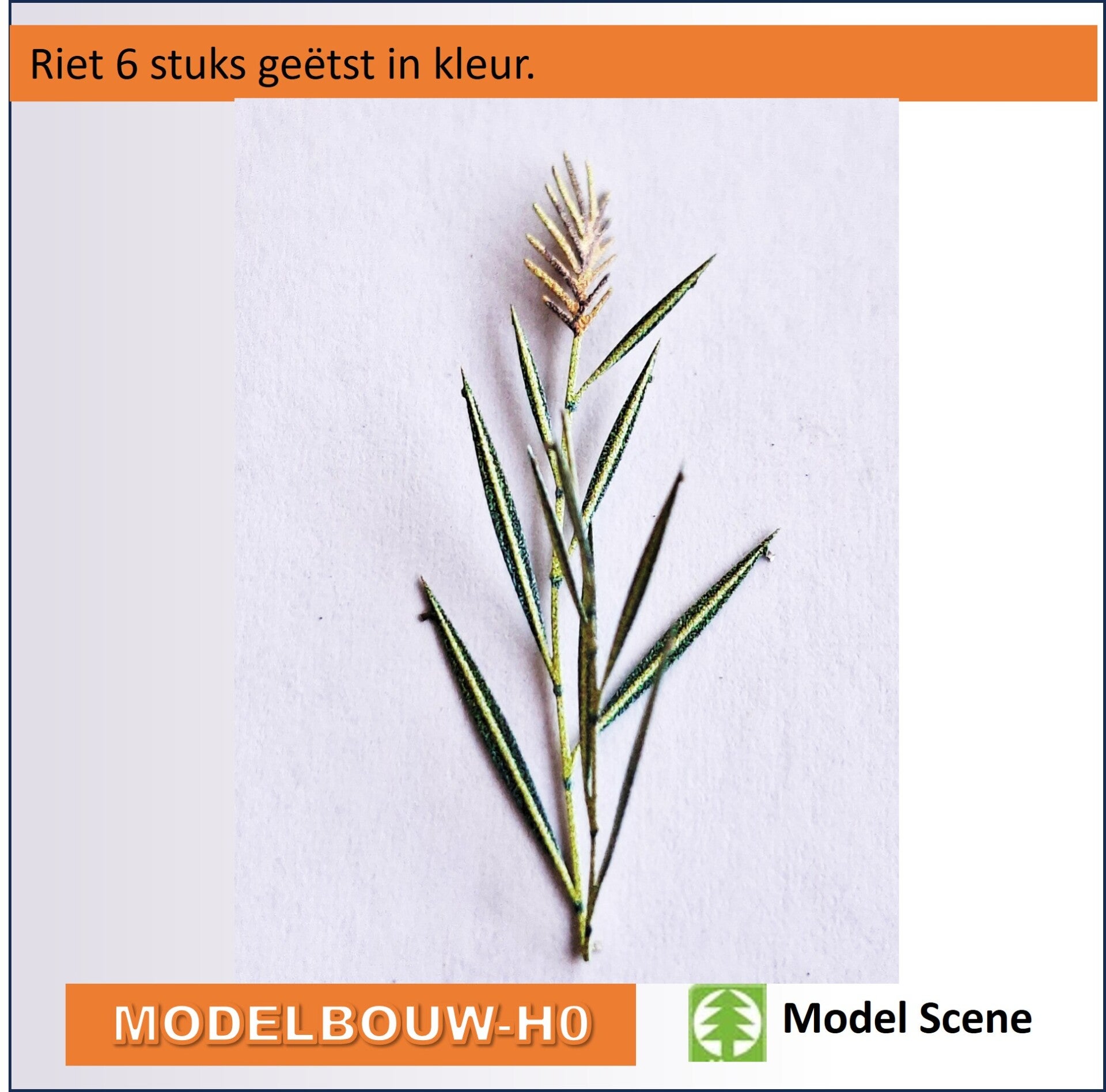 Riet geëtst 6delig Model Scene  VG7-225
