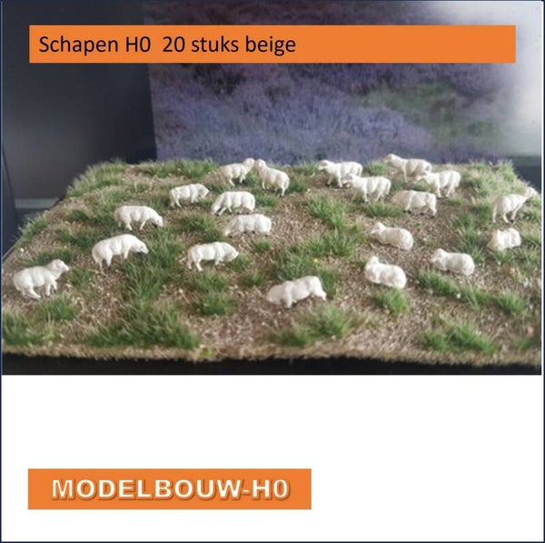 Complete 20-delige set H0-schapen in realistische houdingen: lopend, grazend en liggend.