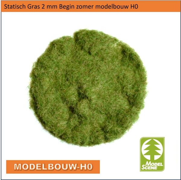 statisch gras groen 2 mm 50gram MS-002-03