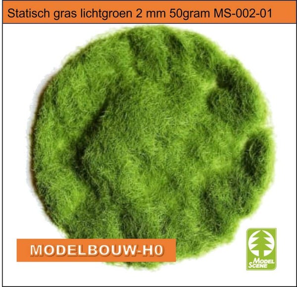 statisch gras lichtgroen 2 mm 50gram MS-002-01