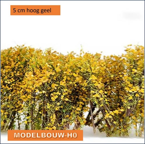 struik geel 5 stuks - brem -