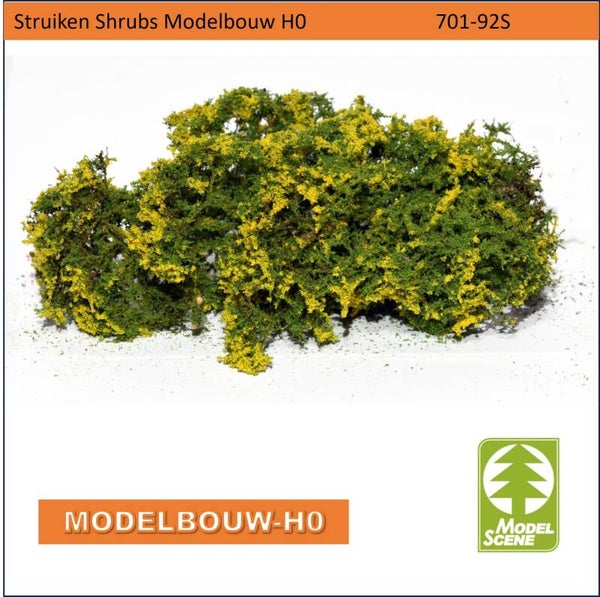 Struiken Shrubs Brem  701-92S