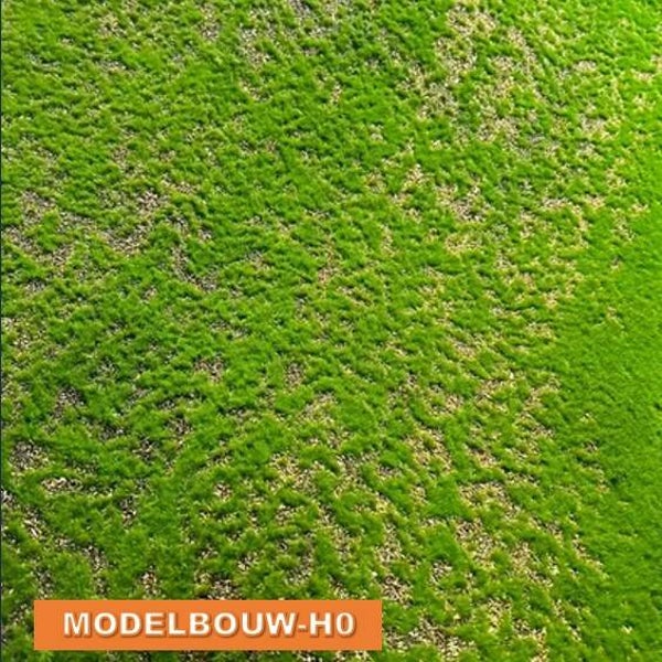 Grasmat grasland gedetailleerd 25 x 25 cm