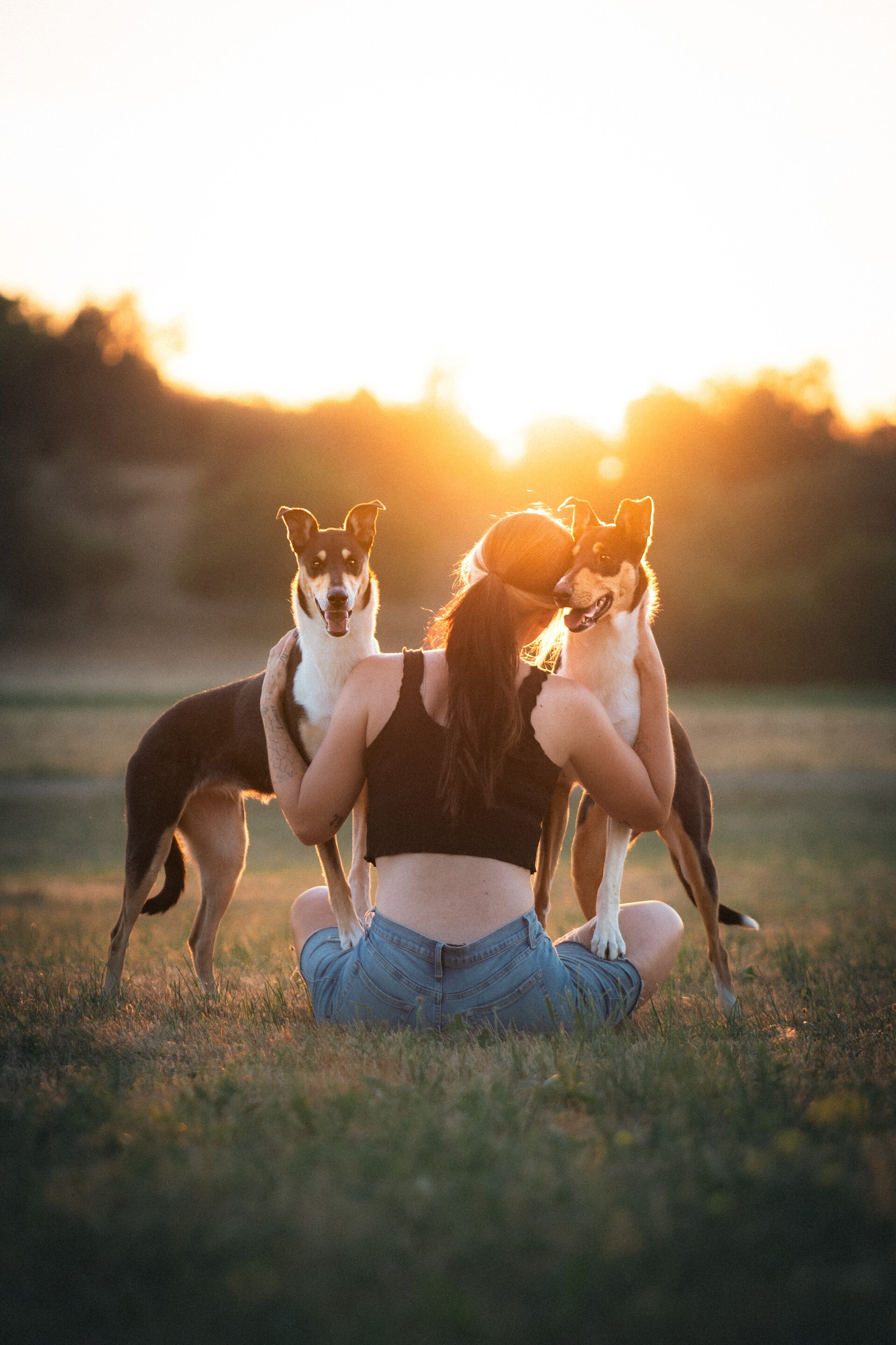focus.by.lk-hundeshooting-freiburg-ortenau