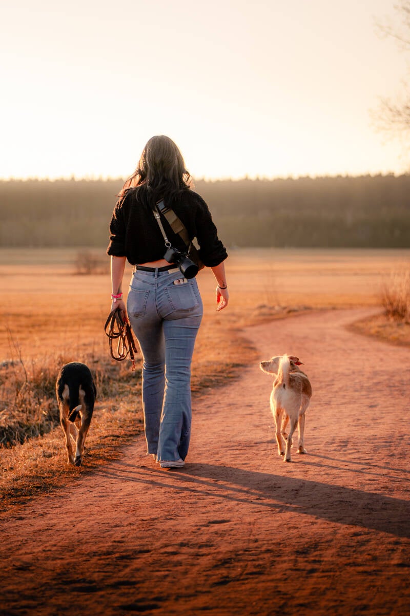 focus.by.lk-hundeshooting-freibur-ortenau