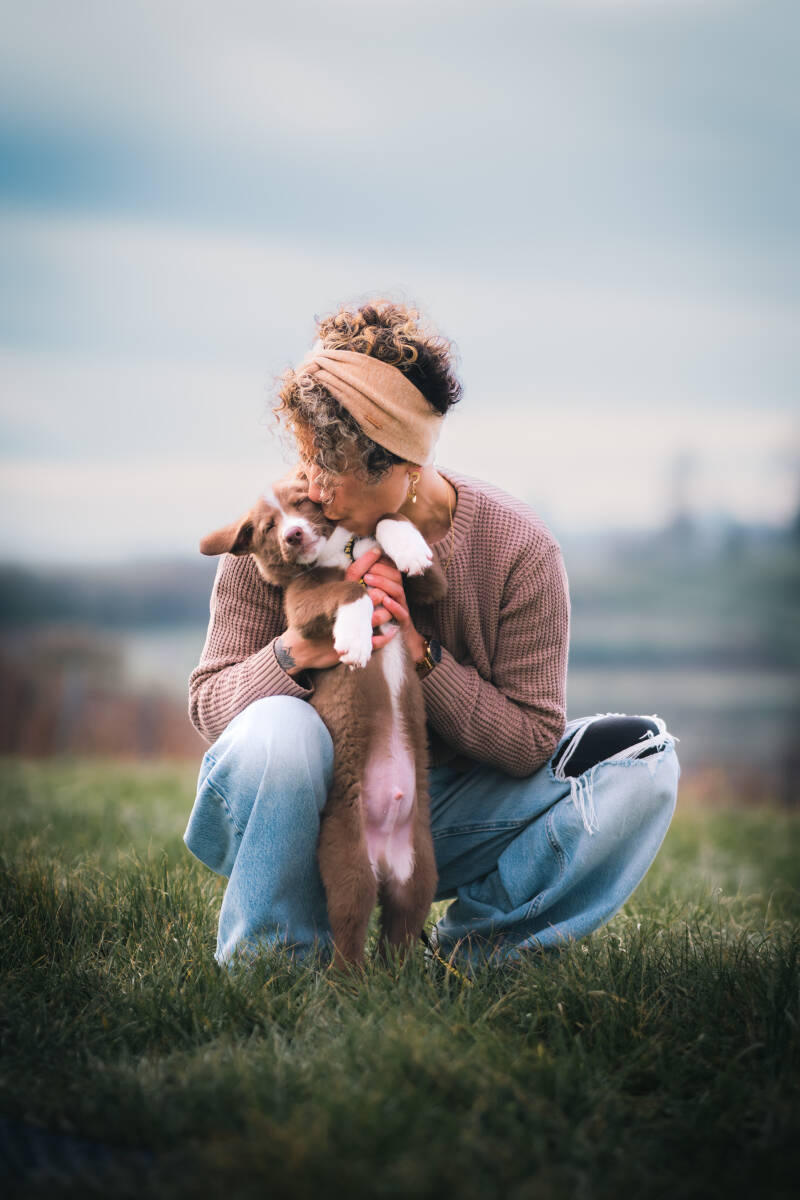 focus.by.lk-hundeshooting-freibur-ortenau
