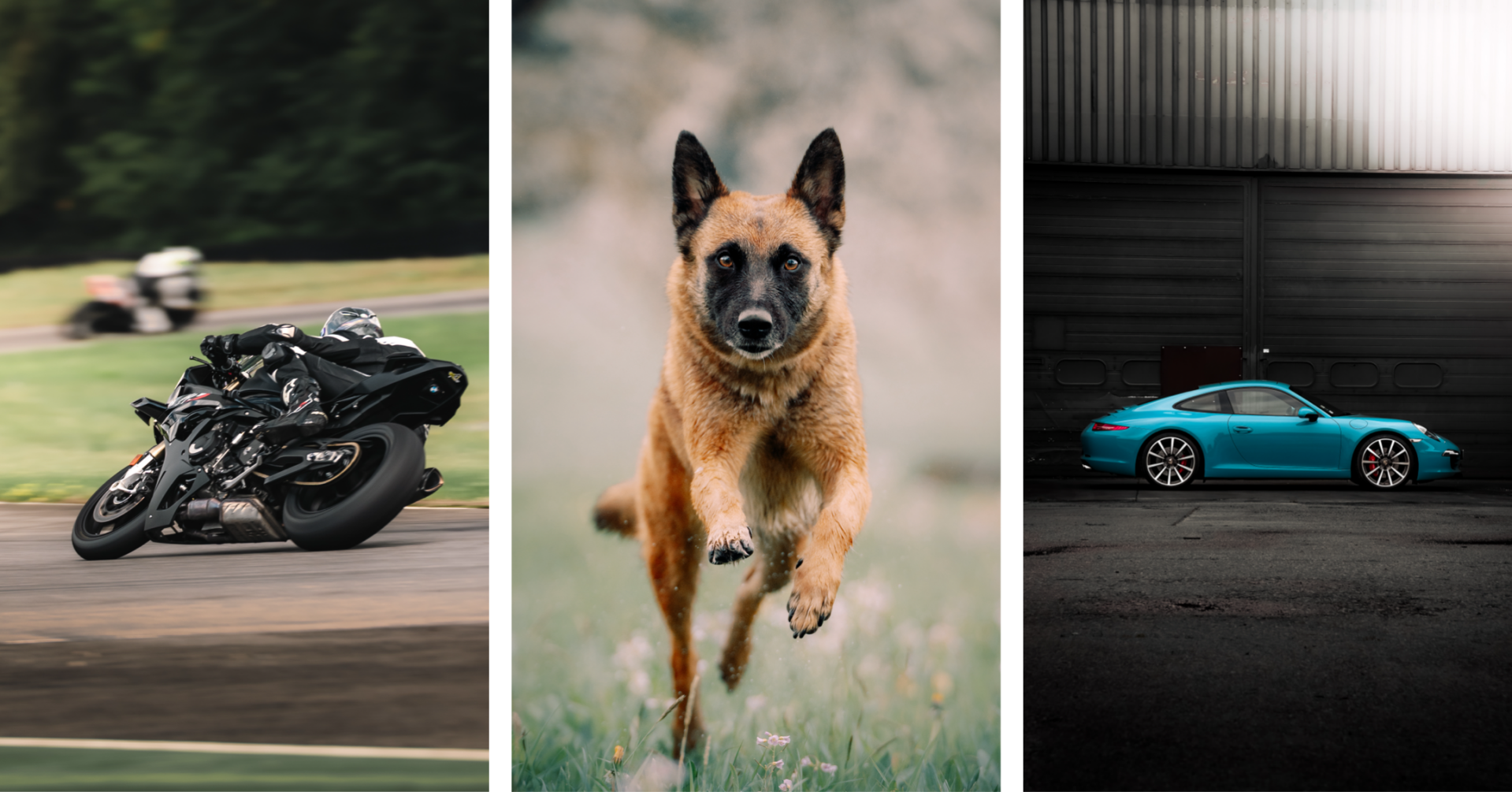 Motorsport / Hunde / Automotive Fotografie / Ortenau