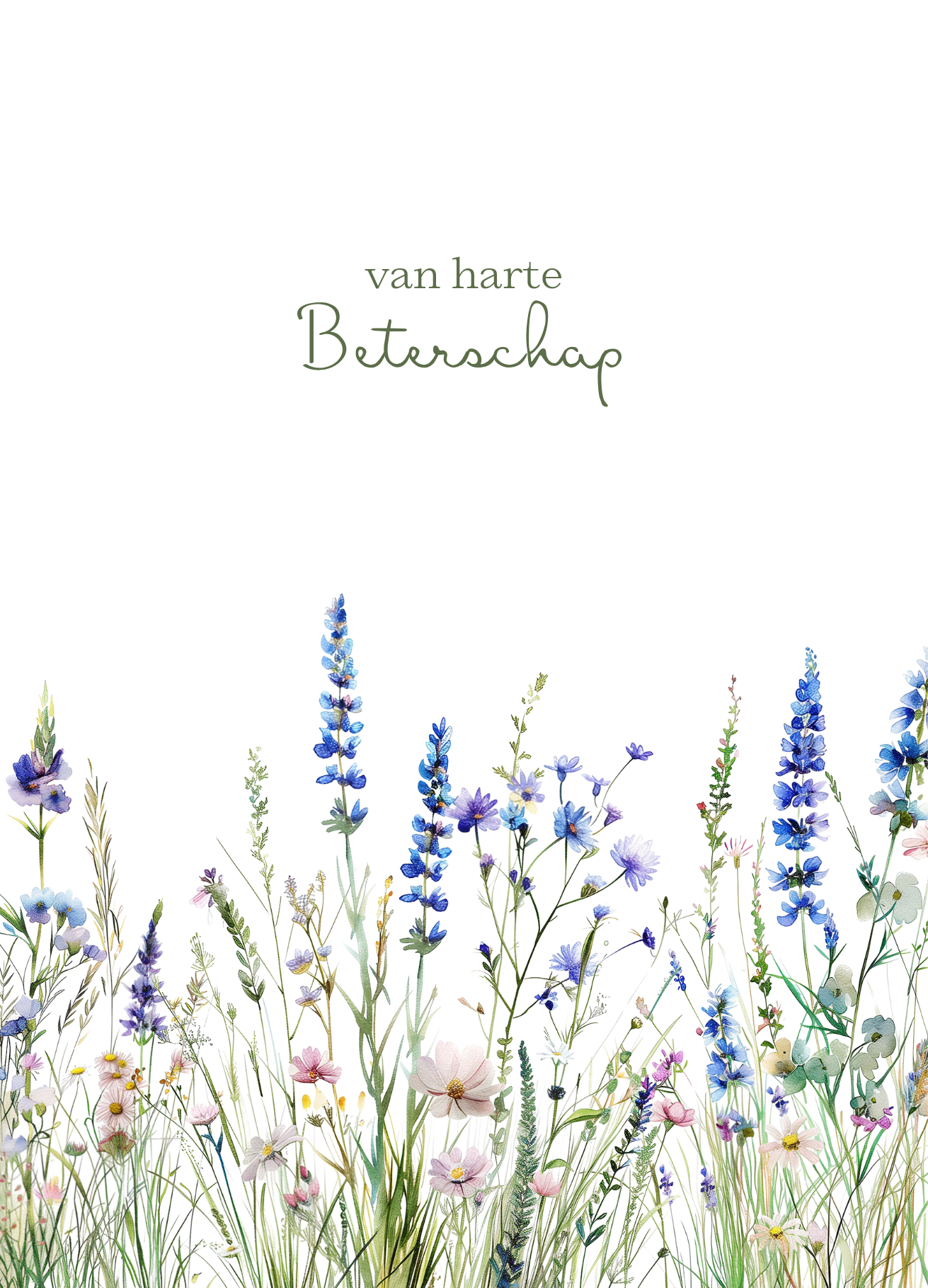 Kaart beterschap