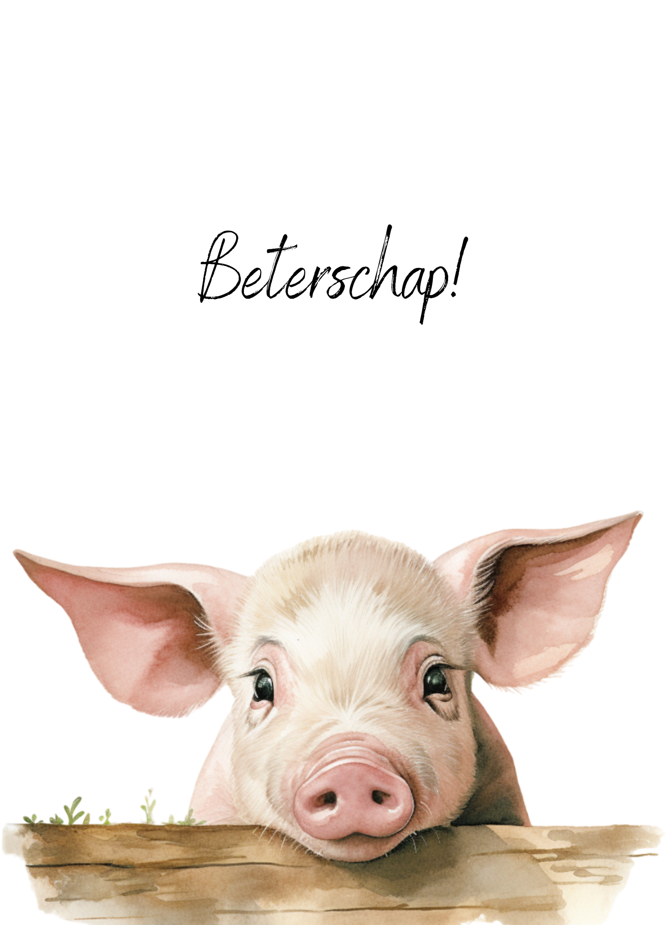 Kaart beterschap - varken