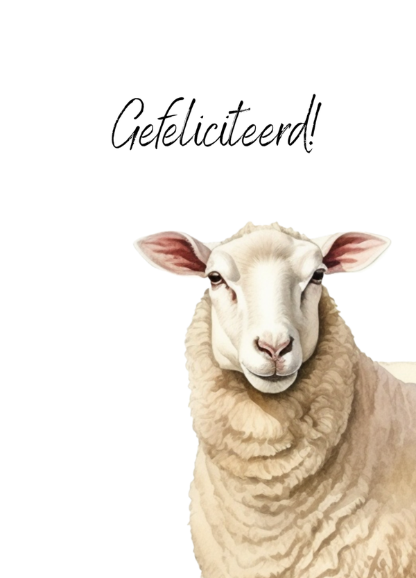 Kaart gefeliciteerd - schaap