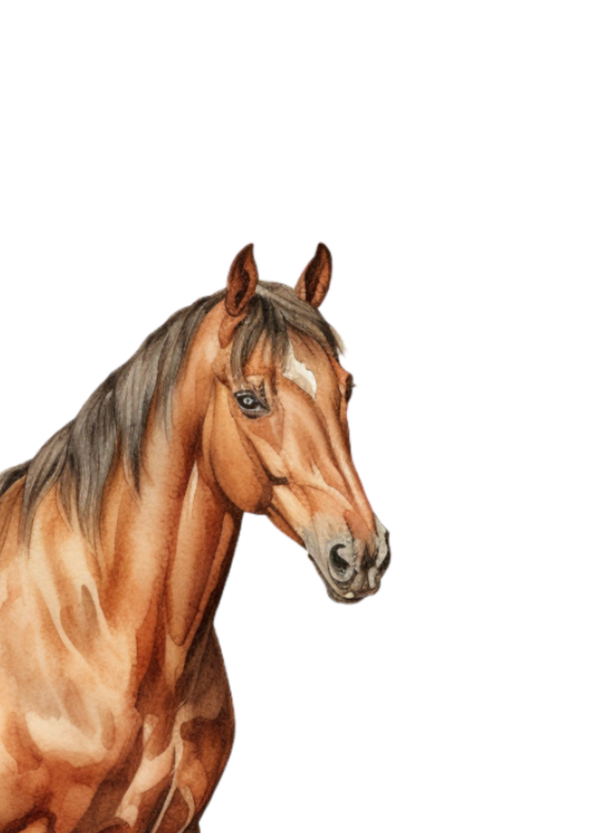 Kaart paard