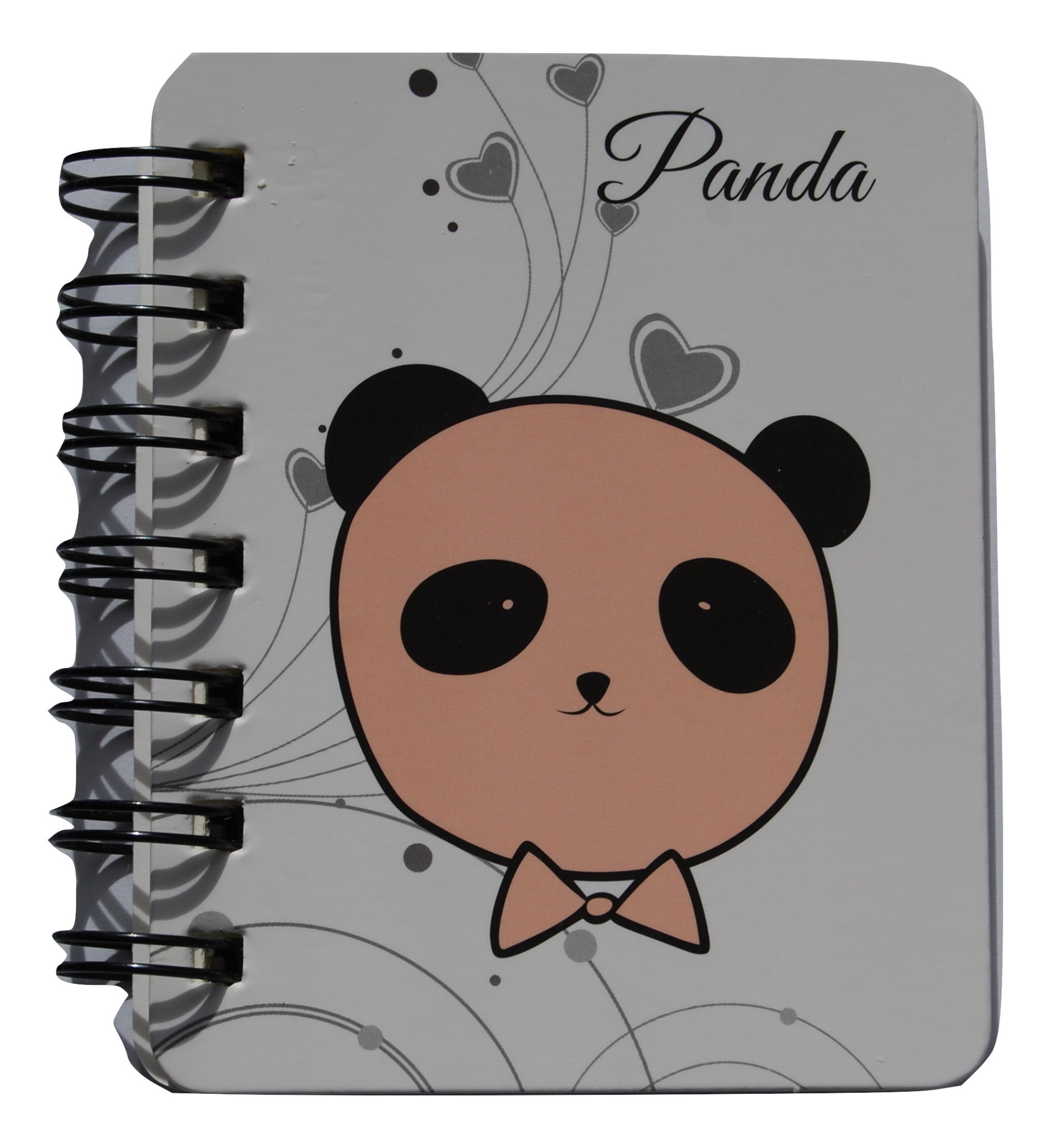 spiraalboekje panda
