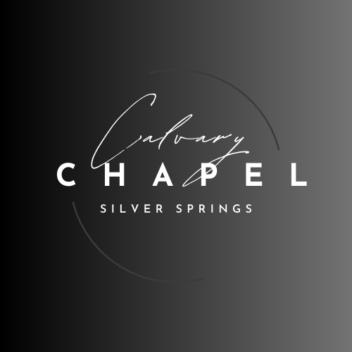ccss-silver-black-standard-di6pty.png