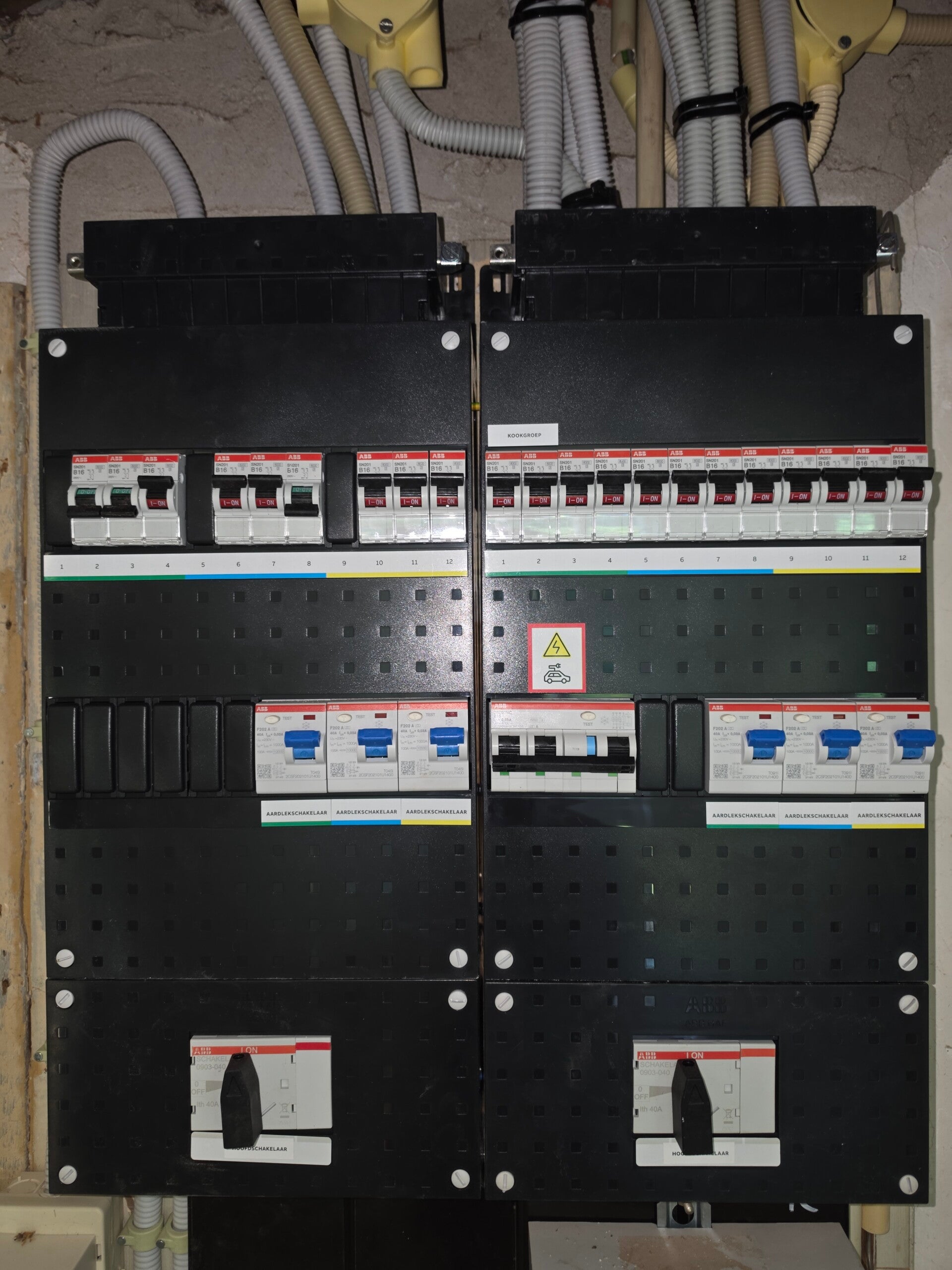 20260806_172401-standard.jpg