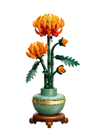 10368 Chrysant (Botanicals)