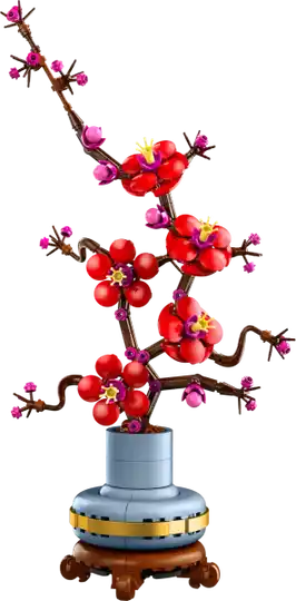 10369 Japanse abrikoos (Botanicals)