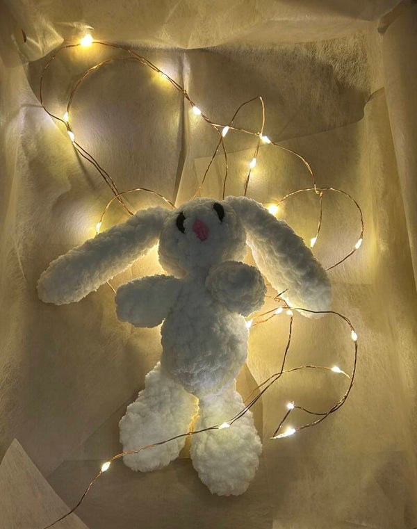 lapin