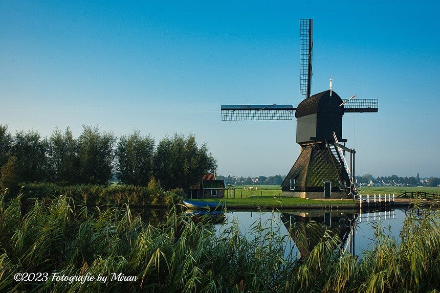 Kinderdijk 4