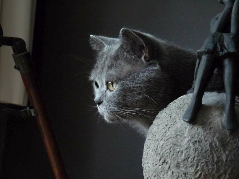 Blue White Diamonds Aston