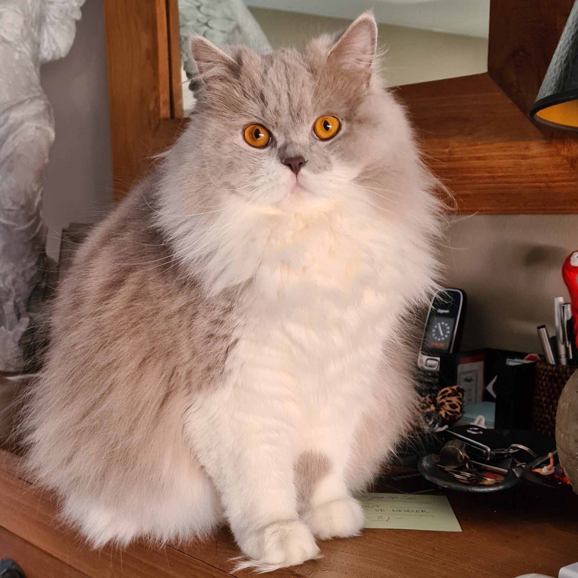 Blue White Diamonds Youki