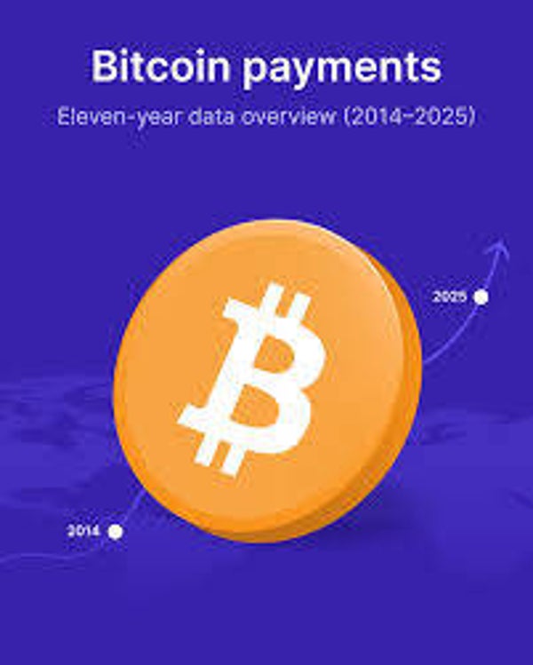 BitcoinPayment.services