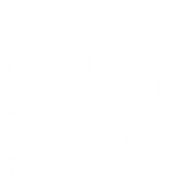 Beckett Grading