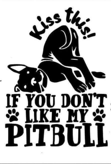 If you don't like my pitbull