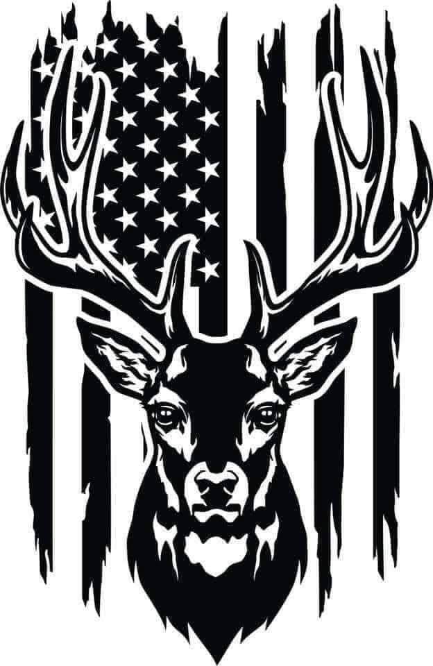 American deer kids