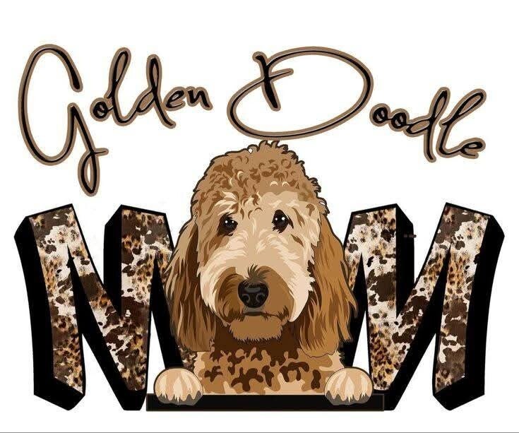 Golden doodle mom 2.0