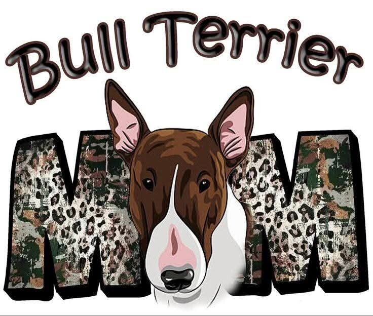 Bull terrier mom