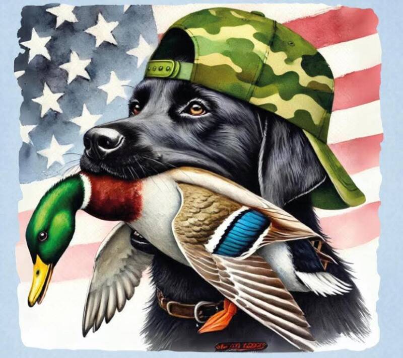 American duck dog 2.0 kids