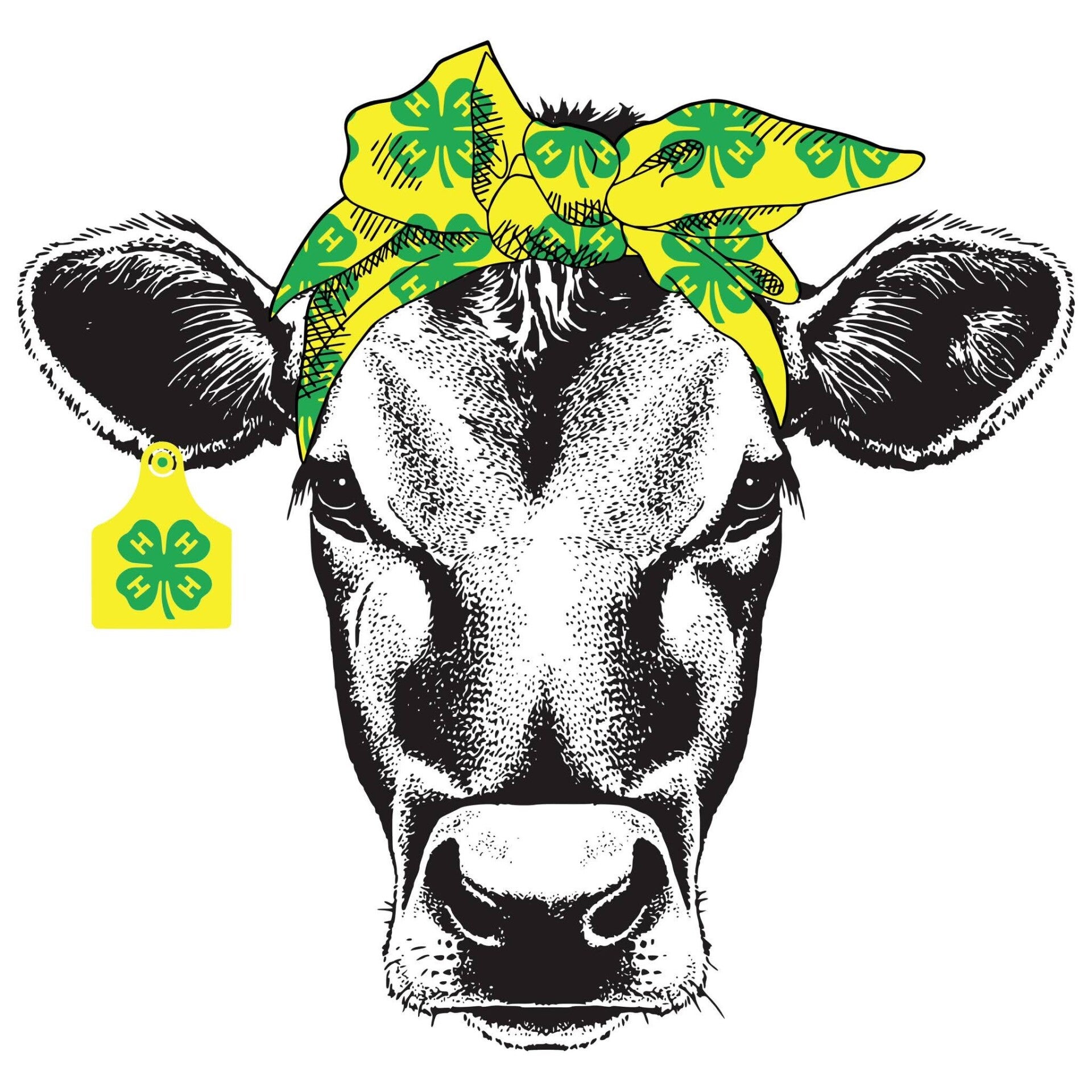 4h cows