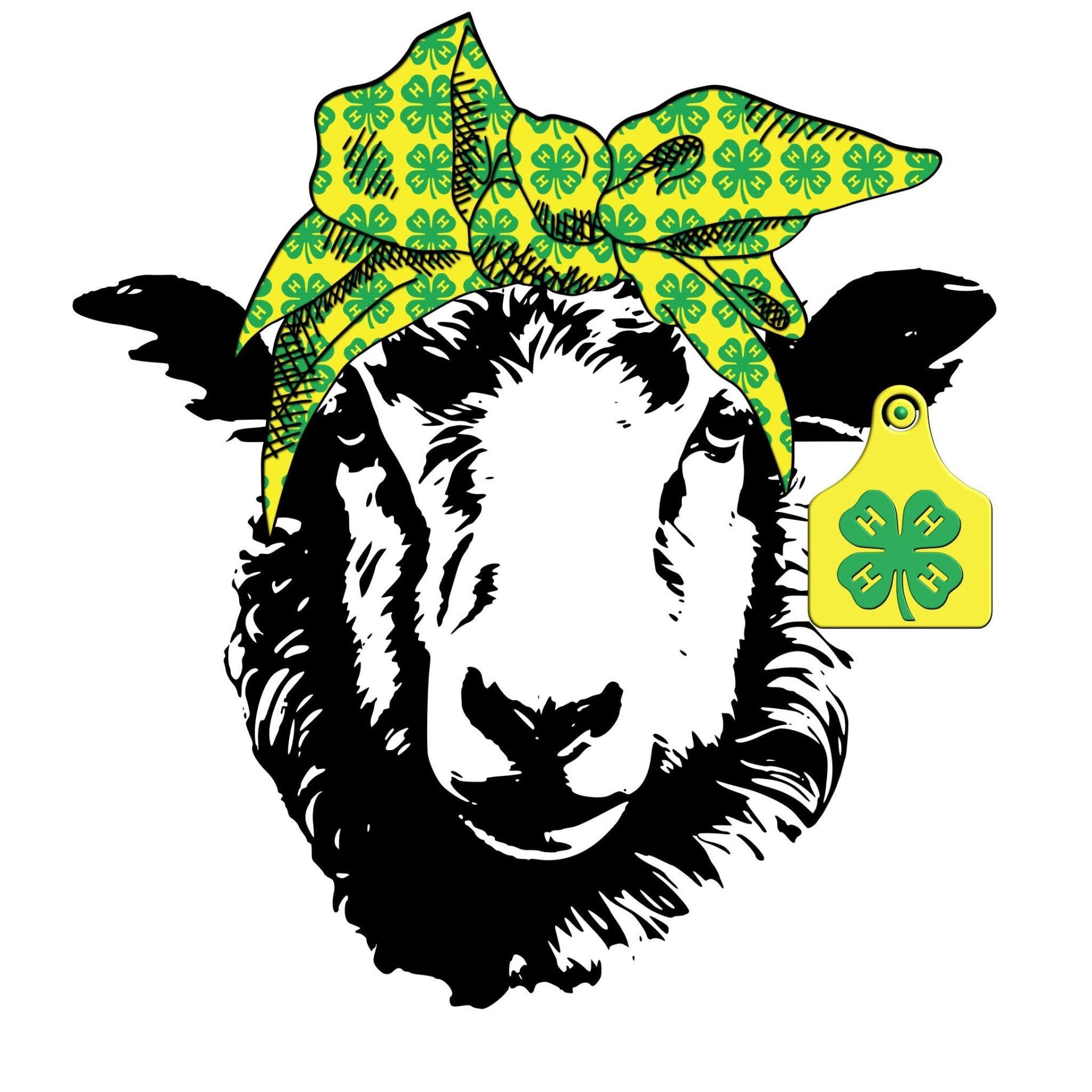4h sheep