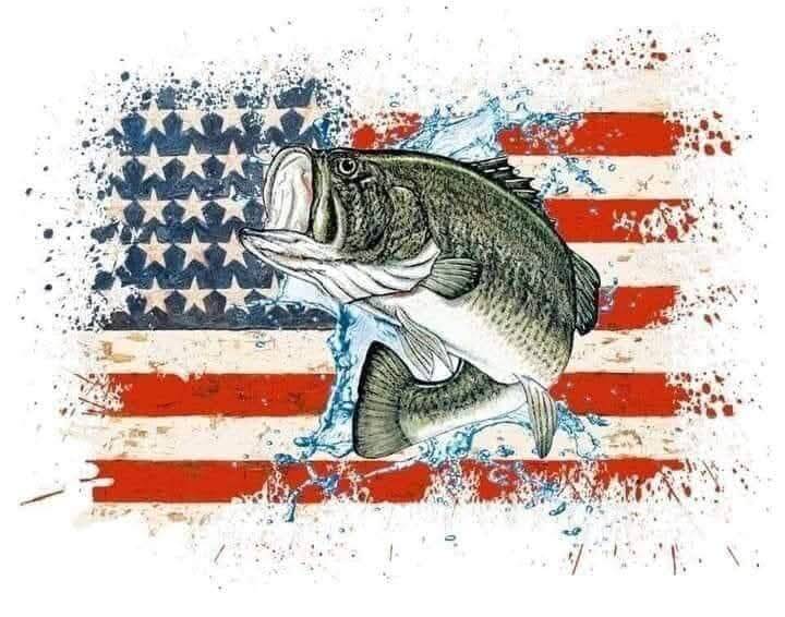 American bass kiss