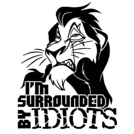 I'm surrounded by idiots
