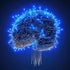 braincareaudiology.com