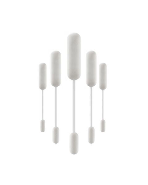 Clean stick per Kiwi