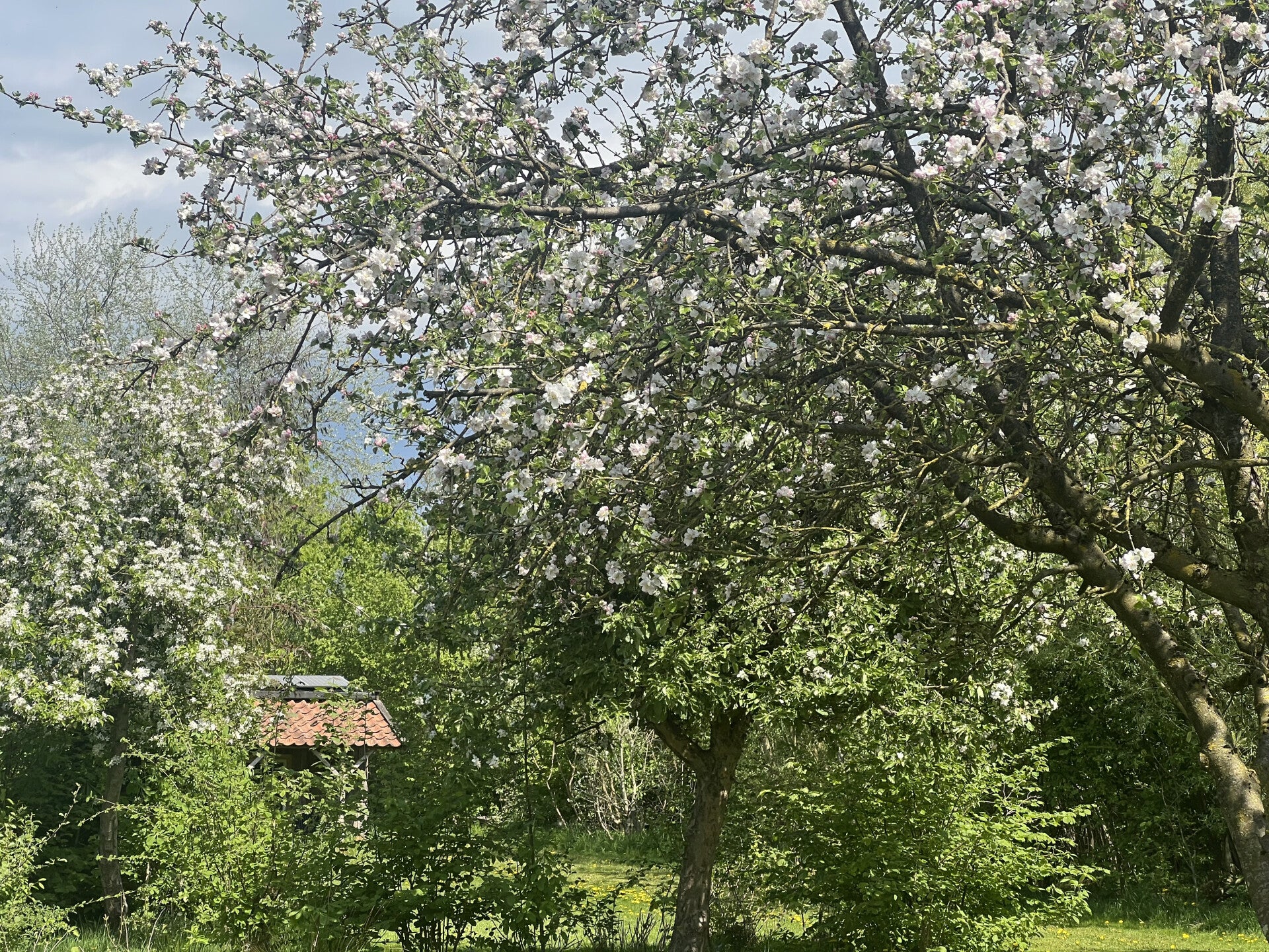 Achterzijde van de boerderij en het tuinhuis.