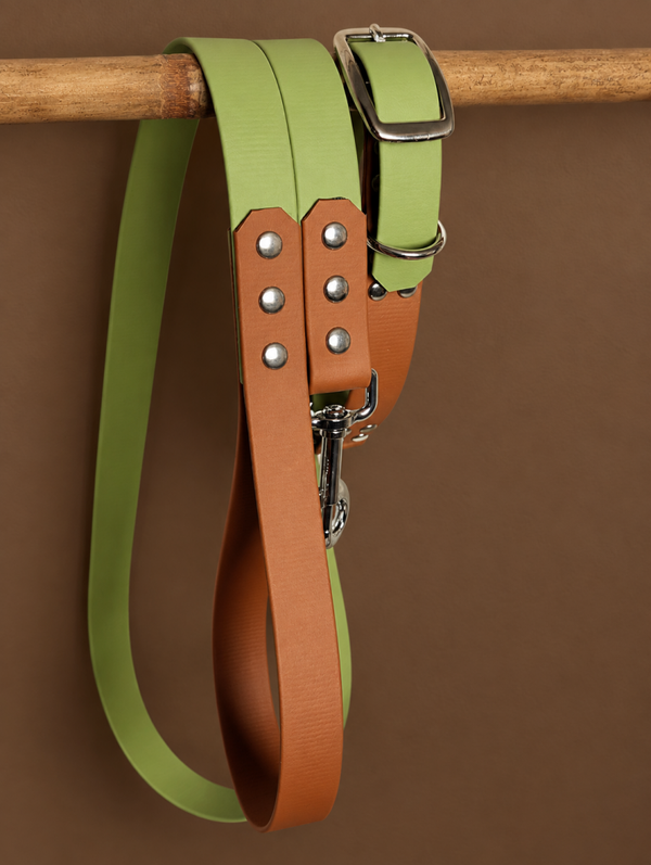 GUACAMOLE Ensemble chien biothane collier M + laisse 1m50