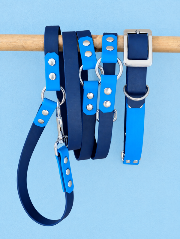 NAVY Ensemble chien biothane collier L + laisse 3 points multipositions